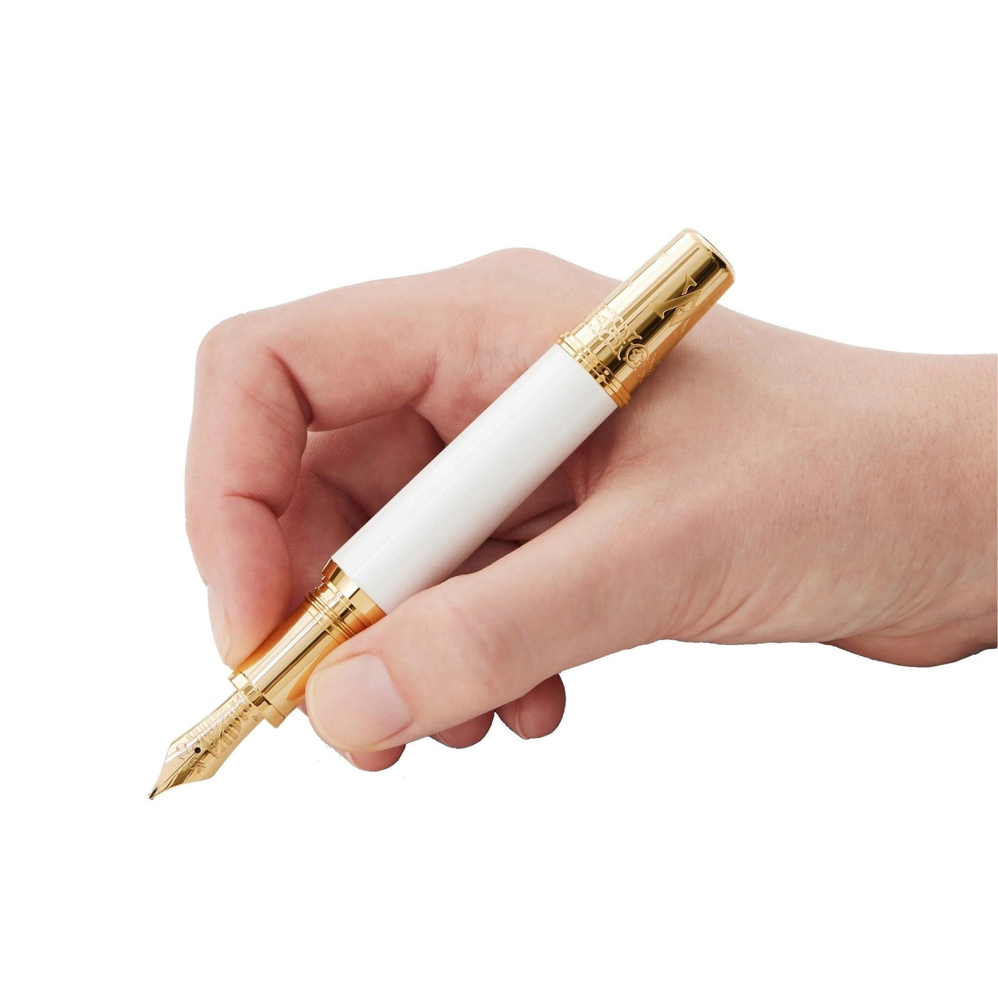 Montblanc Patron of Art Homage to Albert Limited Edition vulpen 4810 M penpunt 127850